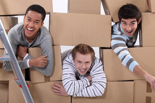 Eco-friendly moving practices by Man and Van in Balham